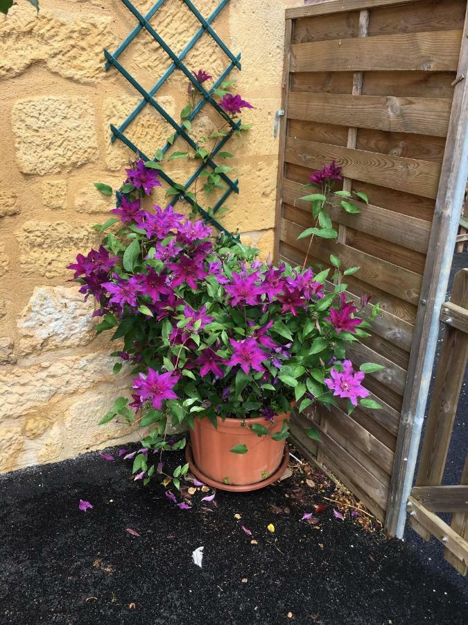 Bed and Breakfast Entre Lot Et Dordogne Saint-Cirq-Madelon Exterior foto